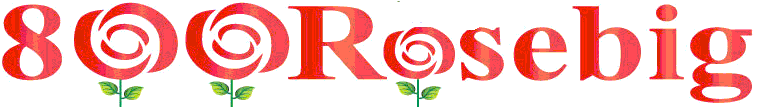 800ROSEBIG WHOLESALE WEDDING FLORIST